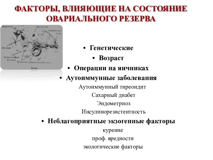 Генетические Возраст Операции на яичниках Аутоиммунные заболевания Аутоиммунный тиреоидит Сахарный диабет Эндометриоз