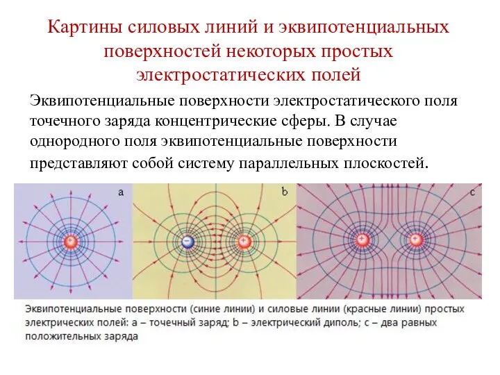 Картины силовых линий и эквипотенциальных поверхностей некоторых простых электростатических полей Эквипотенциальные поверхности