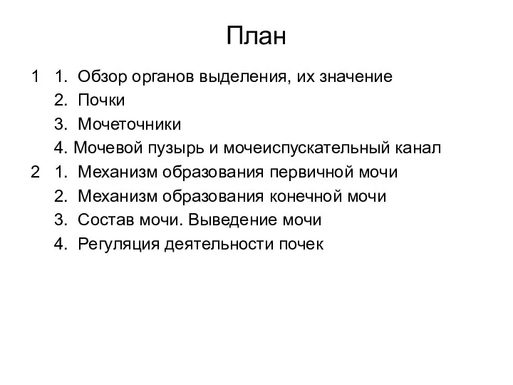 План 1 1. Обзор органов выделения, их значение 2. Почки 3. Мочеточники