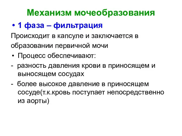 Механизм мочеобразования 1 фаза – фильтрация Происходит в капсуле и заключается в