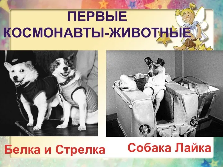 ПЕРВЫЕ КОСМОНАВТЫ-ЖИВОТНЫЕ Белка и Стрелка Собака Лайка