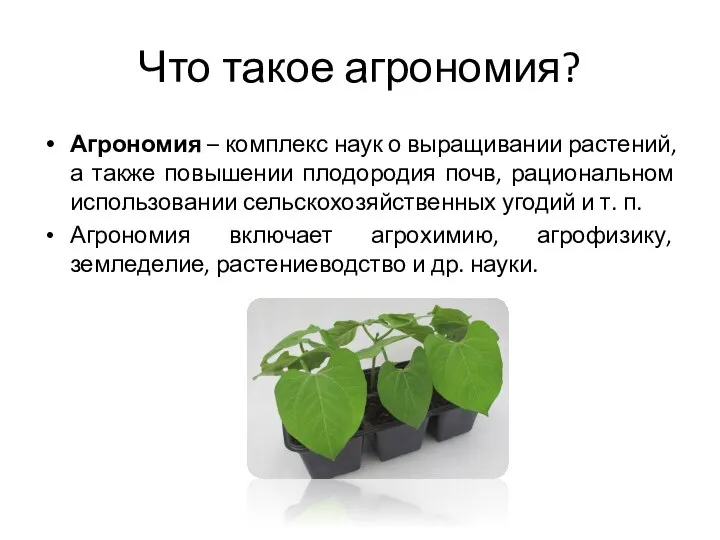 Что такое агрономия? Агрономия – комплекс наук о выращивании растений, а также