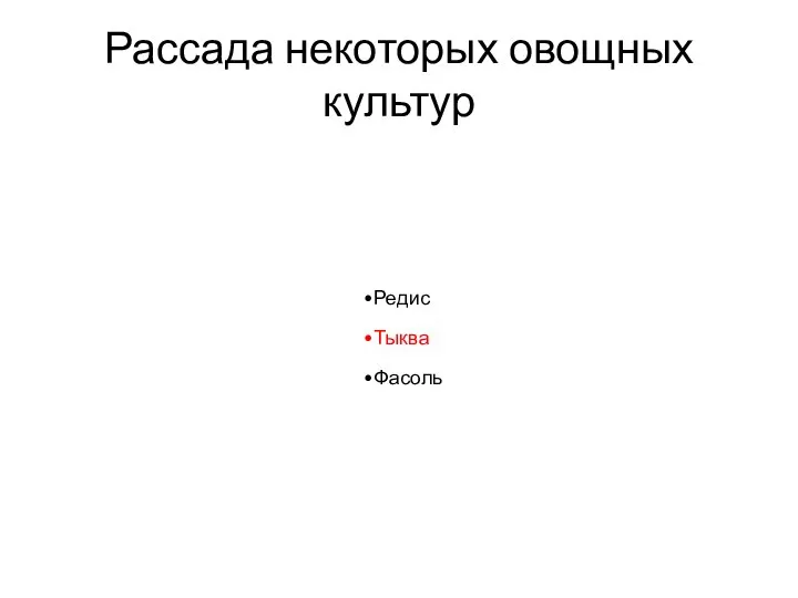 Рассада некоторых овощных культур Редис Тыква Фасоль