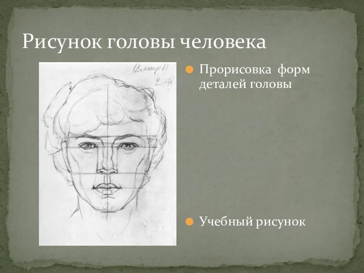 Рисунок головы человека Прорисовка форм деталей головы Учебный рисунок