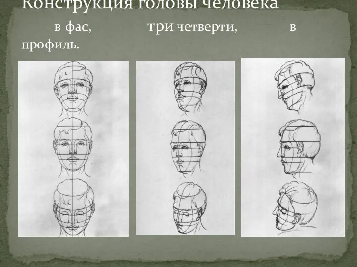Конструкция головы человека в фас, три четверти, в профиль.