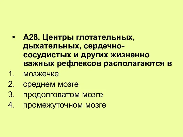 А28. Центры глотательных, дыхательных, сердечно-сосудистых и других жизненно важных рефлексов располагаются в