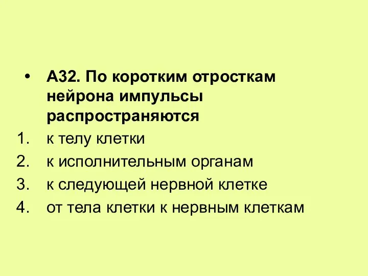 А32. По коротким отросткам нейрона импульсы распространяются к телу клетки к исполнительным