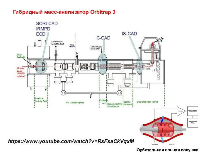 Гибридный масс-анализатор Orbitrap 3 Орбитальная ионная ловушка https://www.youtube.com/watch?v=RsFsaCkVqxM