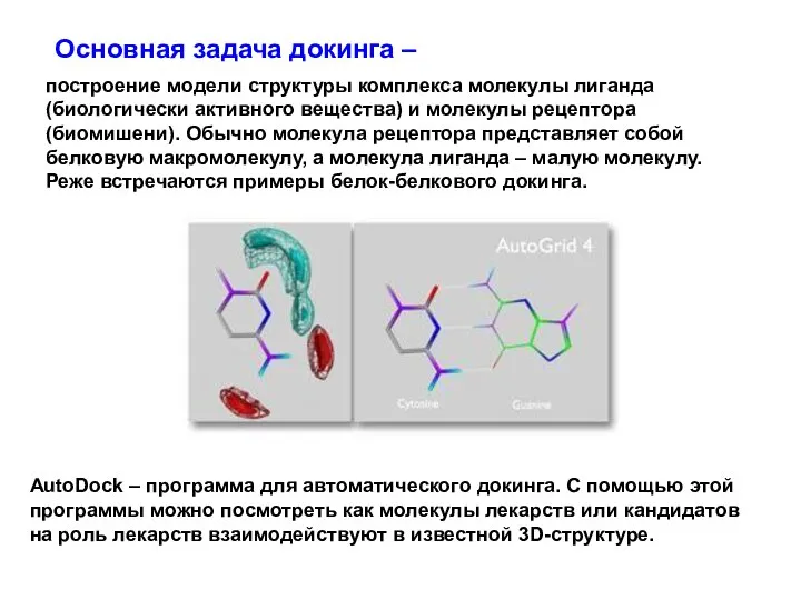 построение модели структуры комплекса молекулы лиганда (биологически активного вещества) и молекулы рецептора