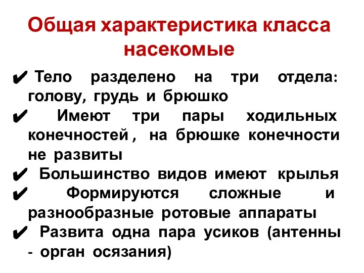 Тело разделено на три отдела: голову, грудь и брюшко Имеют три пары