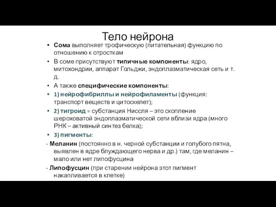 Тело нейрона Сома выполняет трофическую (питательная) функцию по отношению к отросткам В