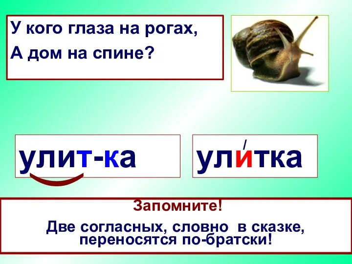 У кого глаза на рогах, А дом на спине? улитка / Какое