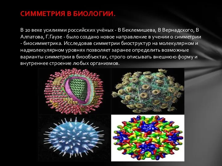 СИММЕТРИЯ В БИОЛОГИИ. В 20 веке усилиями российских учёных - В Беклемишева,