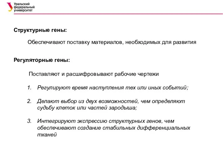 Структурные гены: Регуляторные гены: Обеспечивают поставку материалов, необходимых для развития Поставляют и