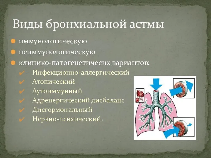 иммунологическую неиммунологическую клинико-патогенетичесих вариантов: Инфекционно-аллергический Атопический Аутоиммунный Адренергический дисбаланс Дисгормональный Нервно-психический. Виды бронхиальной астмы