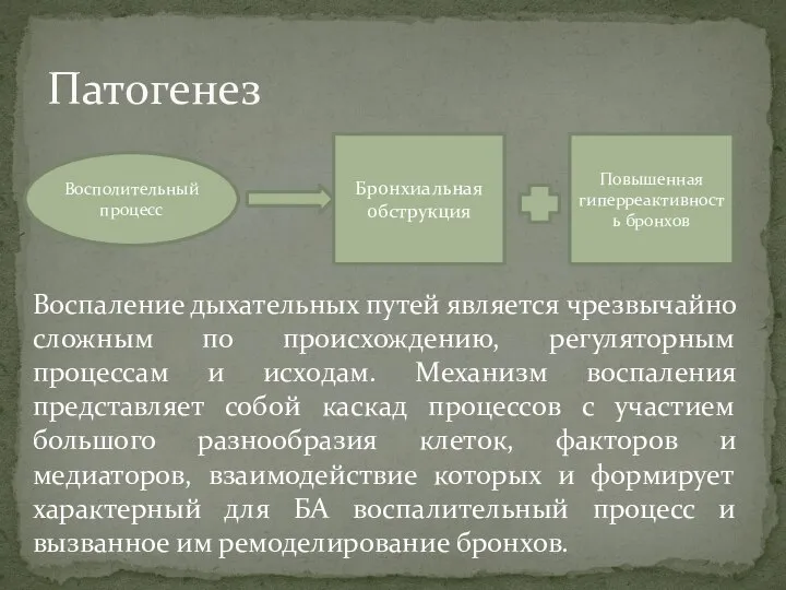 Воспаление дыхательных путей является чрезвычайно сложным по происхождению, регуляторным процессам и исходам.