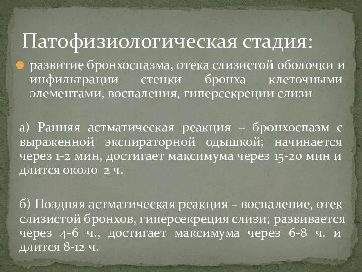 развитие бронхоспазма, отека слизистой оболочки и инфильтрации стенки бронха клеточными элементами, воспаления,