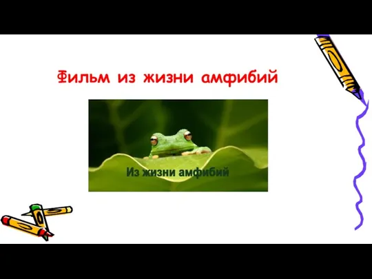 Фильм из жизни амфибий