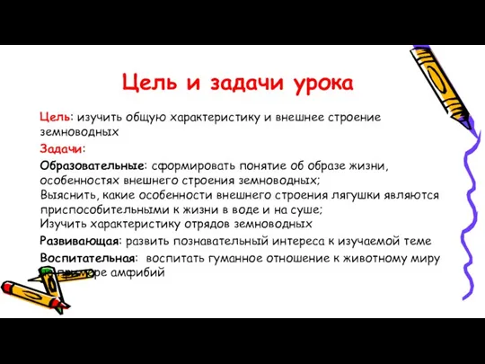 Цель и задачи урока Цель: изучить общую характеристику и внешнее строение земноводных