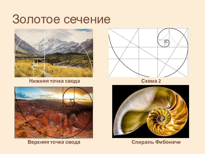 Золотое сечение Верхняя точка свода Нижняя точка свода Схема 2 Спираль Фибоначи