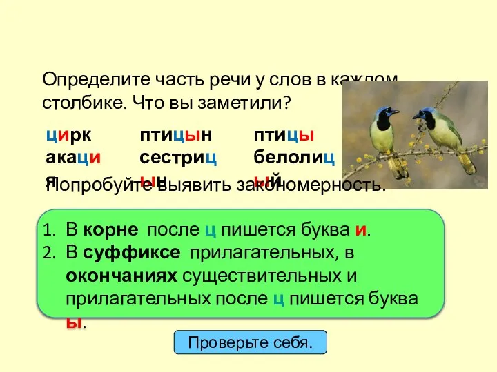 цирк акация Определите часть речи у слов в каждом столбике. Что вы