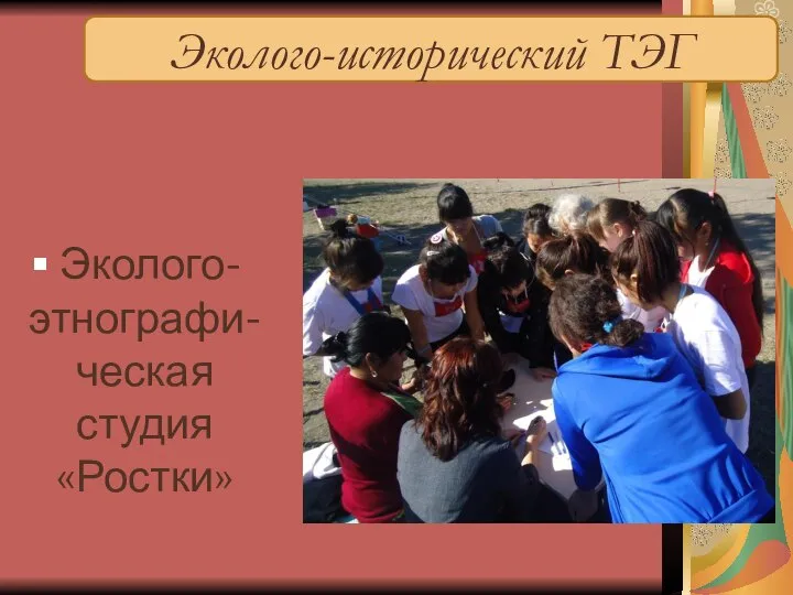 Эколого-исторический ТЭГ Эколого-этнографи-ческая студия «Ростки»