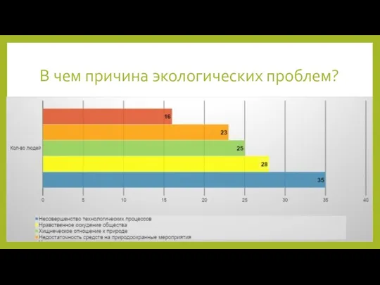 В чем причина экологических проблем?