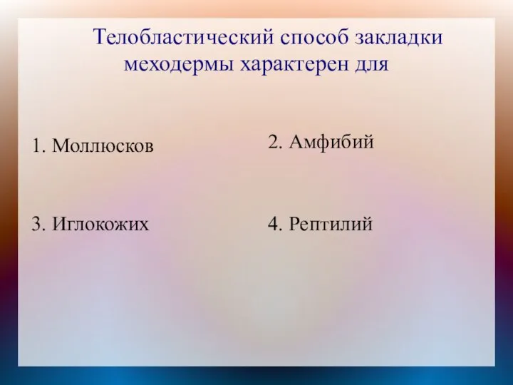 Телобластический способ закладки меходермы характерен для 1. Моллюсков 2. Амфибий 4. Рептилий 3. Иглокожих