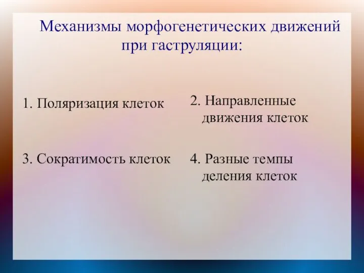 Механизмы морфогенетических движений при гаструляции: 1. Поляризация клеток 2. Направленные движения клеток