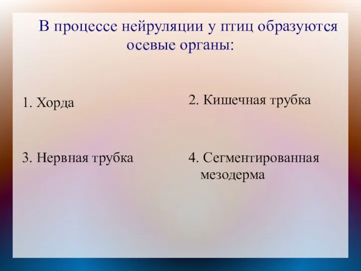 В процессе нейруляции у птиц образуются осевые органы: 1. Хорда 2. Кишечная