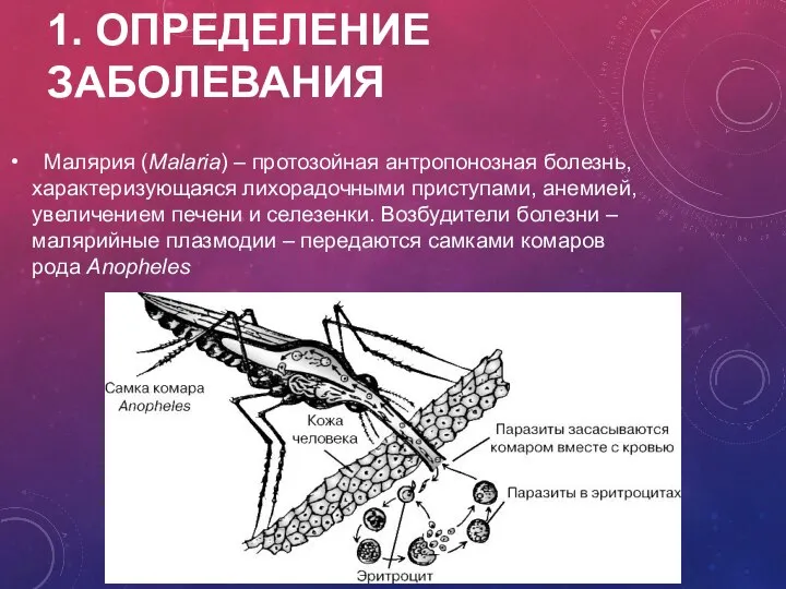 1. ОПРЕДЕЛЕНИЕ ЗАБОЛЕВАНИЯ Малярия (Malaria) – протозойная антропонозная болезнь, характеризующаяся лихорадочными приступами,