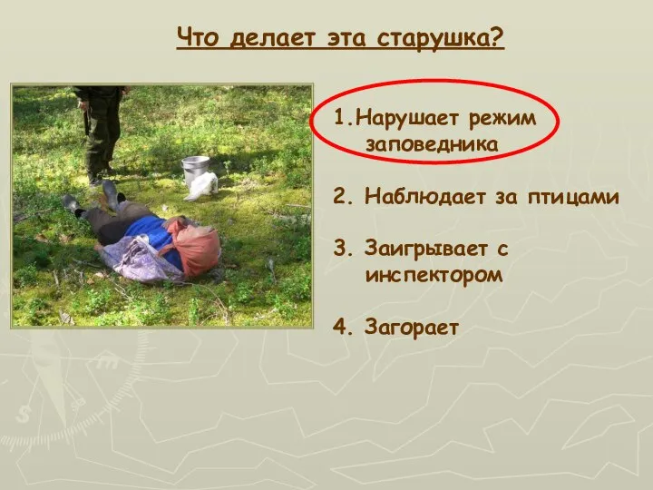 Что делает эта старушка? 1.Нарушает режим заповедника 2. Наблюдает за птицами 3.