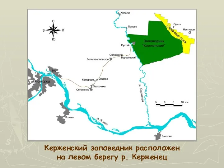 Керженский заповедник расположен на левом берегу р. Керженец