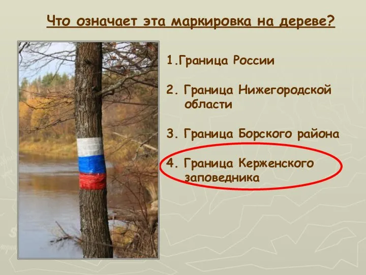 Что означает эта маркировка на дереве? 1.Граница России 2. Граница Нижегородской области