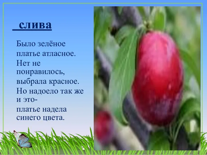 слива Было зелёное платье атласное. Нет не понравилось, выбрала красное. Но надоело