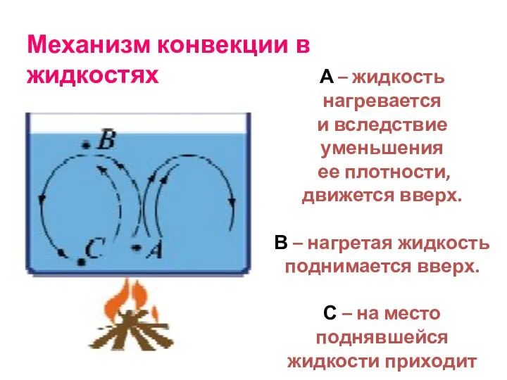 Механизм конвекции в жидкостях А – жидкость нагревается и вследствие уменьшения ее