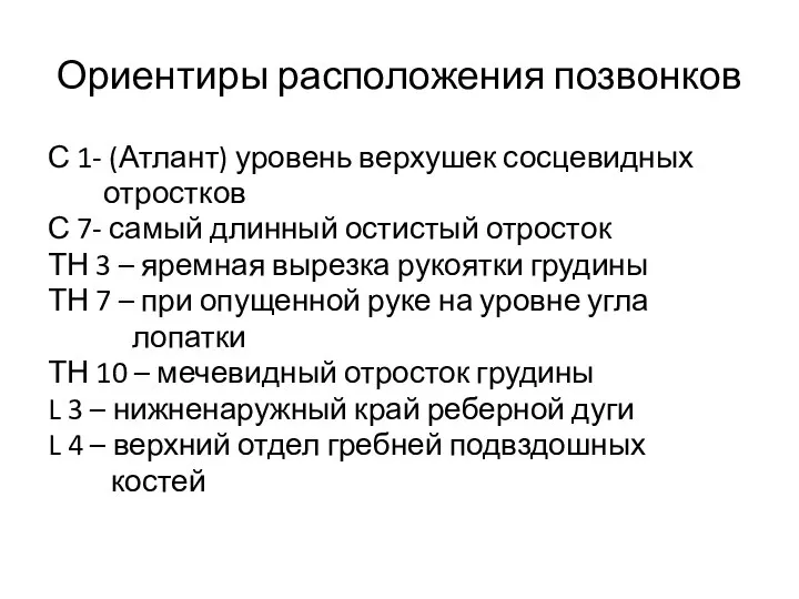 Ориентиры расположения позвонков С 1- (Атлант) уровень верхушек сосцевидных отростков С 7-