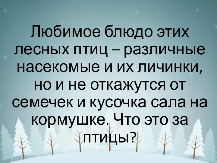 Любимое блюдо этих лесных птиц – различные насекомые и их личинки, но