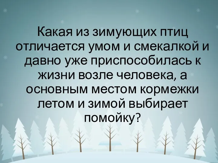 Какая из зимующих птиц отличается умом и смекалкой и давно уже приспособилась