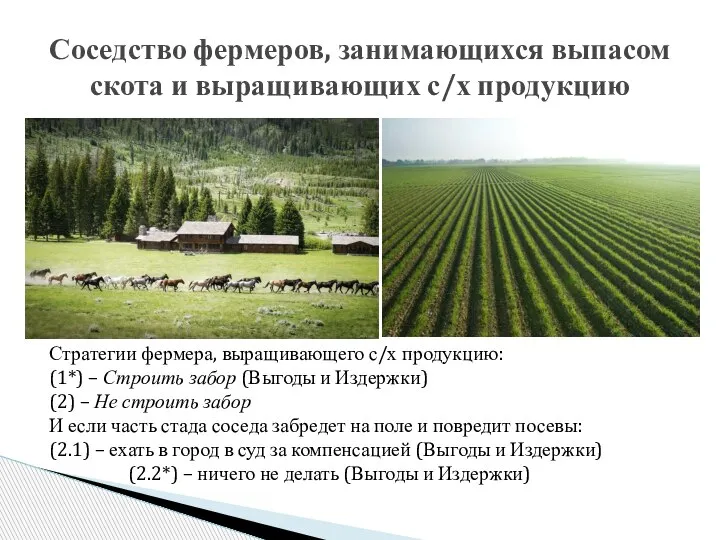 Соседство фермеров, занимающихся выпасом скота и выращивающих с/х продукцию Стратегии фермера, выращивающего