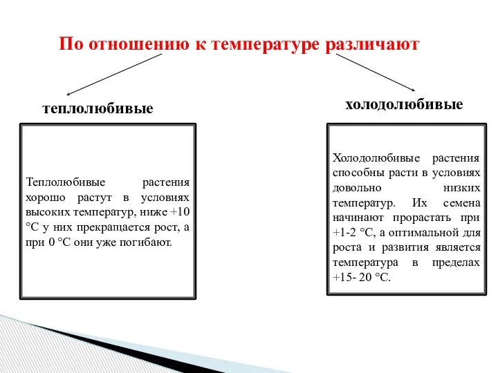 По отношению к температуре различают теплолюбивые холодолюбивые Теплолюбивые растения хорошо растут в