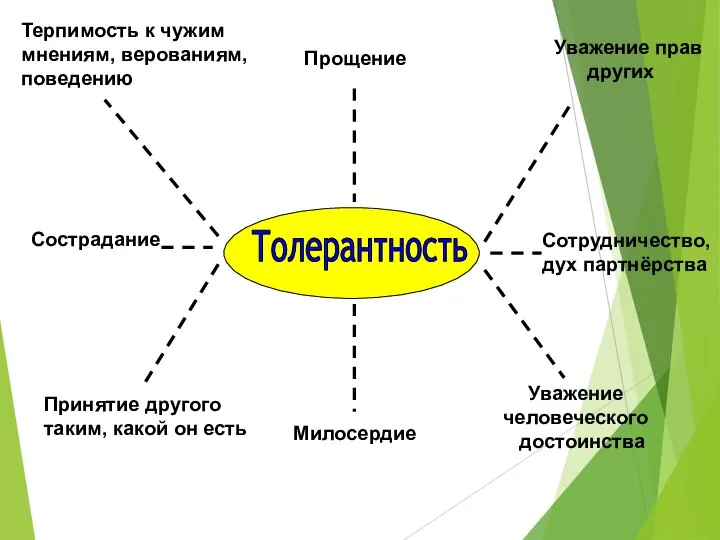 Толерантность Прощение Милосердие Уважение прав других Сотрудничество, дух партнёрства Уважение человеческого достоинства