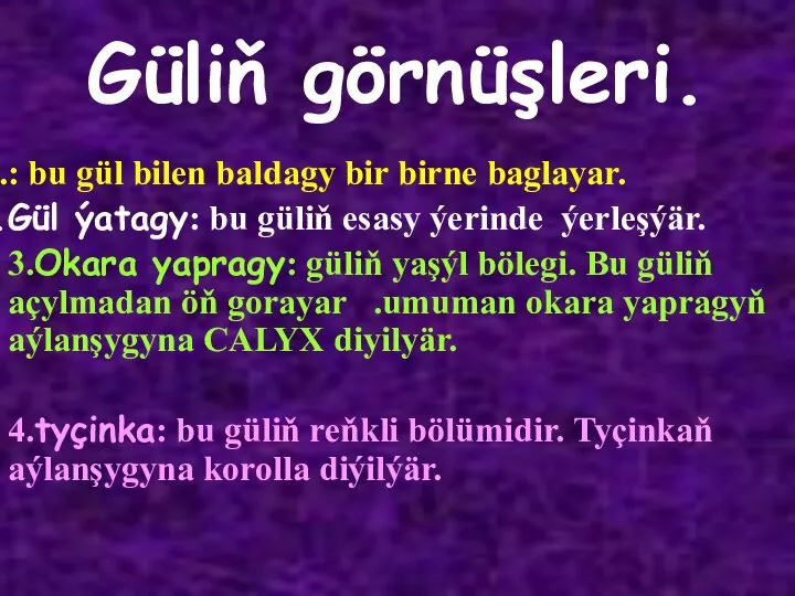 Güliň görnüşleri. : bu gül bilen baldagy bir birne baglayar. Gül ýatagy: