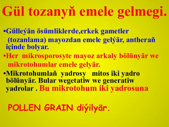 Gül tozanyň emele gelmegi. Gülleýän ösümliklerde,erkek gametler (tozanlama) mayozdan emele gelýär, antheraň