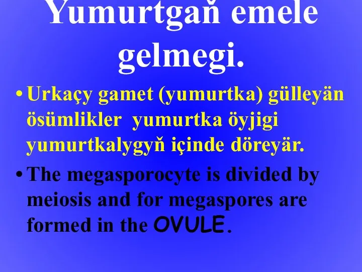 Yumurtgaň emele gelmegi. Urkaçy gamet (yumurtka) gülleyän ösümlikler yumurtka öyjigi yumurtkalygyň içinde