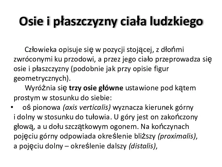 Osie i płaszczyzny ciała ludzkiego Człowieka opisuje się w pozycji stojącej, z