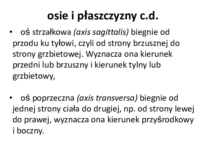 osie i płaszczyzny c.d. oś strzałkowa (axis sagittalis) biegnie od przodu ku