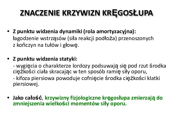 ZNACZENIE KRZYWIZN KRĘGOSŁUPA Z punktu widzenia dynamiki (rola amortyzacyjna): łagodzenie wstrząsów (siła