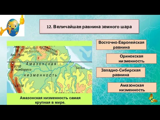 12. Величайшая равнина земного шара Восточно-Европейская равнина Оринокская низменность Западно-Сибирская равнина Амазонская низменность