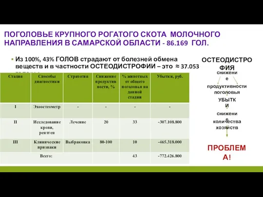 ПОГОЛОВЬЕ КРУПНОГО РОГАТОГО СКОТА МОЛОЧНОГО НАПРАВЛЕНИЯ В САМАРСКОЙ ОБЛАСТИ - 86.169 ГОЛ.